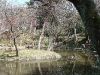 Arisugawa park in Tokio